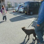 飼主さん、離れます