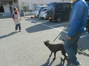 飼主さん、離れます