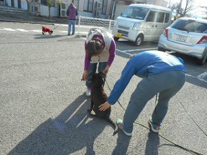 バッチリだね、ショウちゃん