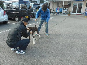 よくできました、ジャックちゃん