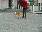 戻ってきます!(^^)!