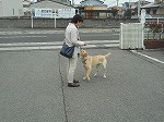 呼ばれると嬉しそうに戻ってきました！