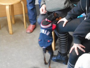 ちょっと怖かったかな(・・;)