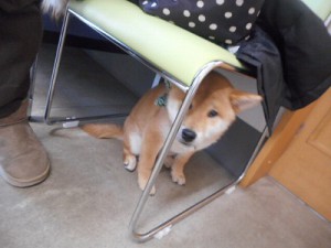 どきどき・・・