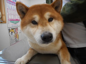 DSCN7238