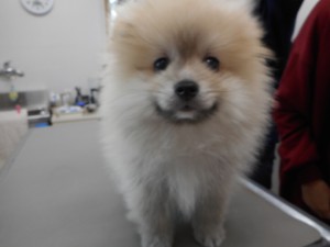 DSCN7393