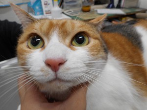 DSCN7656