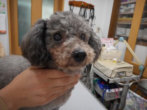 DSCN0742