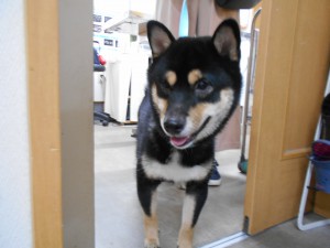 DSCN2457