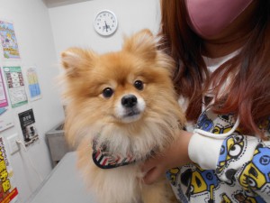 DSCN2467