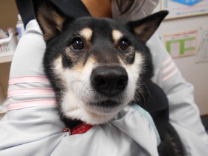 DSCN2468