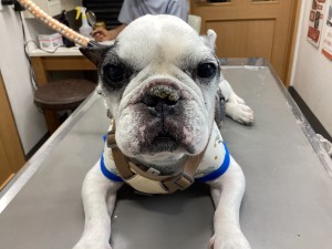 IMG_8163