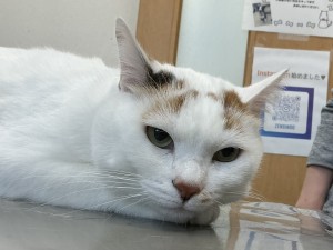 IMG_1003
