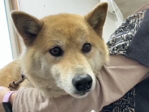 IMG_1009