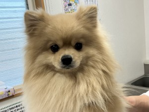 IMG_1272