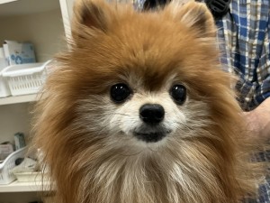 IMG_1357