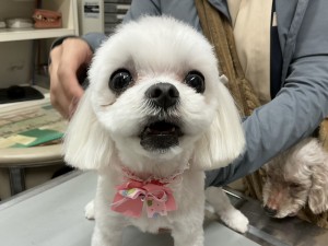 IMG_1362
