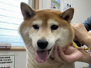 IMG_1367