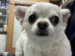 IMG_1689