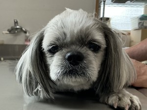 IMG_1701