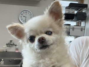 IMG_1765