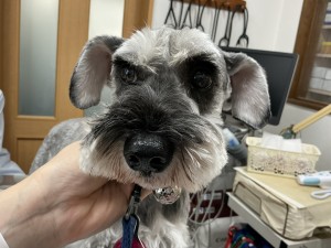 IMG_1853