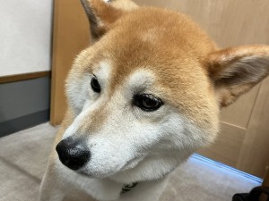 IMG_1854