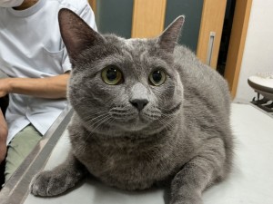 IMG_2816