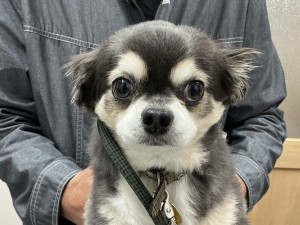 IMG_2858