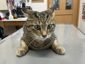IMG_2879