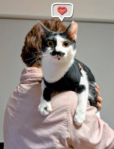 line_oa_chat_251107_183240