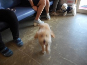 ゆ、ゆずちゃんだよね！？笑