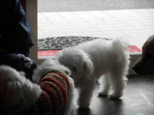 DSCN1669