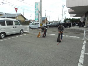 DSCN2152
